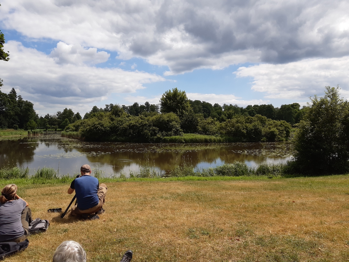 27 Etang light 20210627_122804