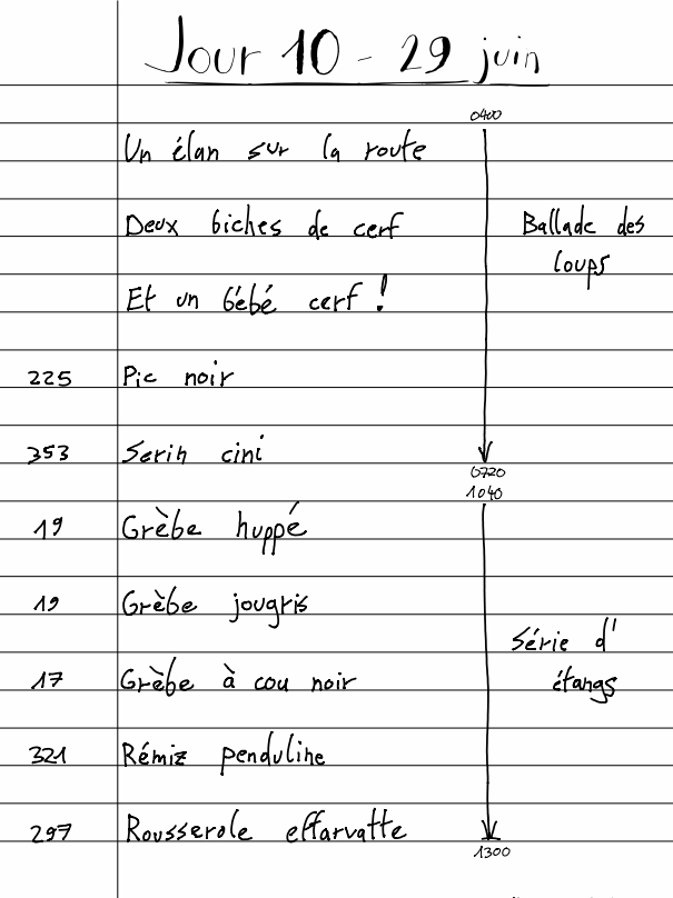 Carnet Pierre J10.1 - 29