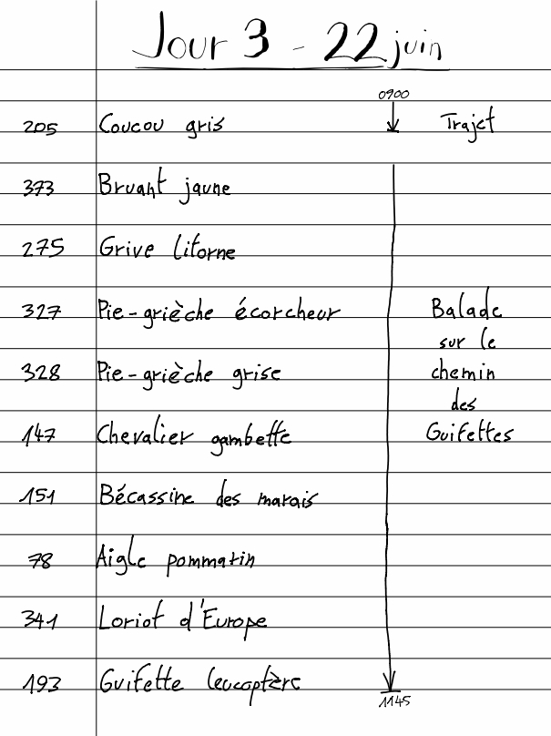 Carnet Pierre J3.1 22