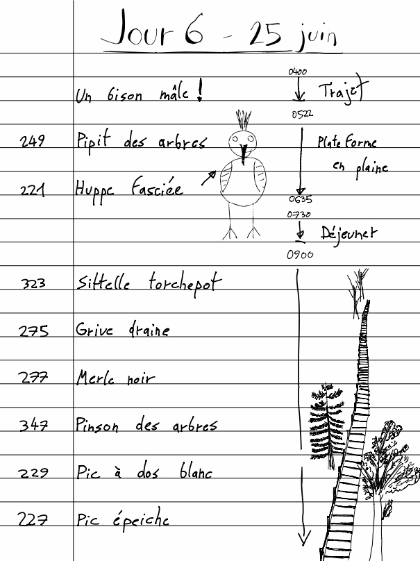 Carnet Pierre J6.1 - 25