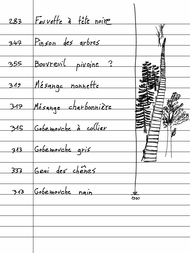 Carnet Pierre J6.2 - 25