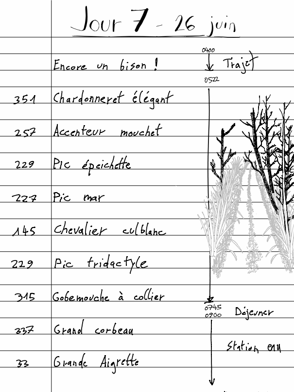 Carnet Pierre J7.1 - 26