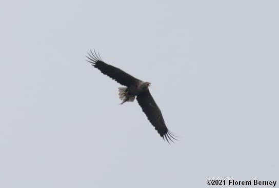 IMG-20210627-WA0005
